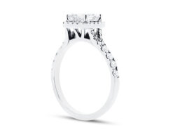 ER-1564-ide-princess-halo-scallop